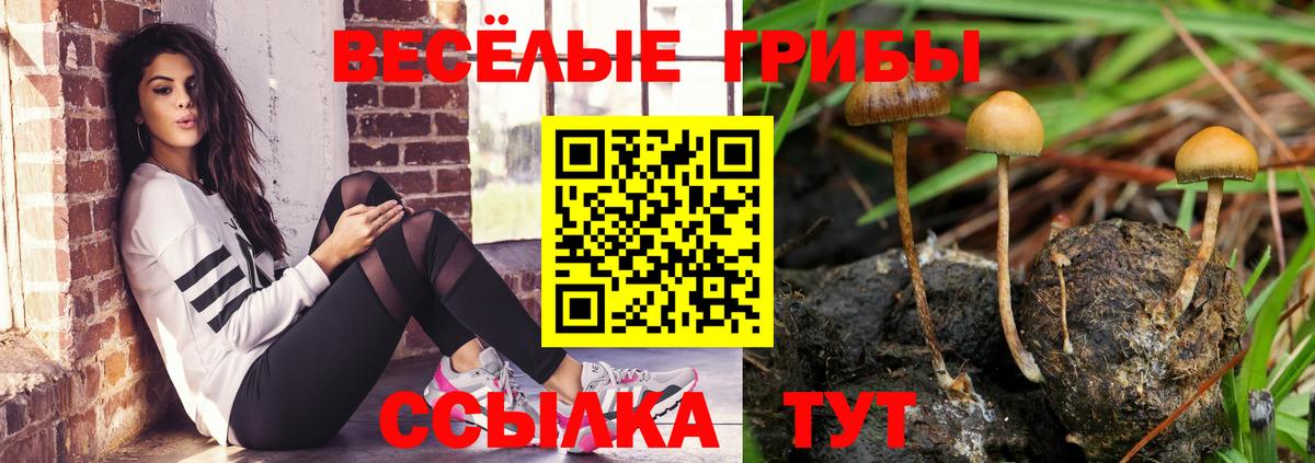 Галлюциногенные грибы Psilocybine cubensis  Вход с VPN  Галлюциногенные грибы мухоморы  Снежинск 